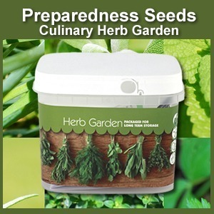 Herb Garden Bucket of Preparedness Seeds Non-GMO
